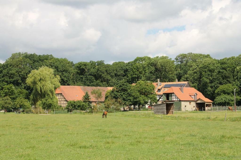 Ferienwohnung Waldhof-Iphofen Exterior foto